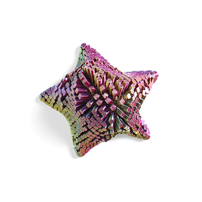 3D Starfish Fidget