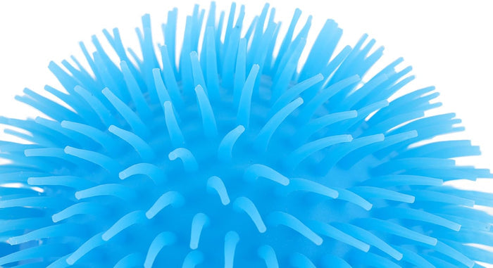 Close-up of a bright blue puffer ball covered in soft, flexible rubber spikes against a white background.