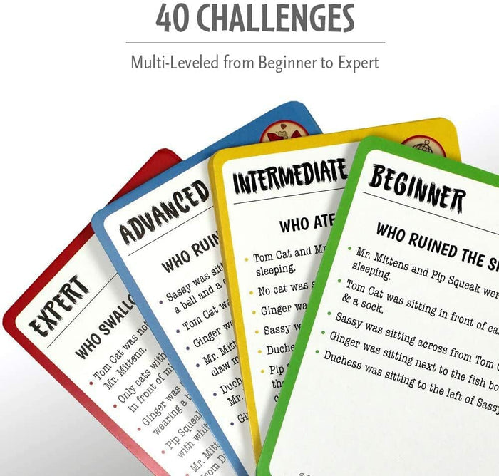 Four colorful challenge cards ranging from Beginner to Expert with logic puzzle clues about cats.