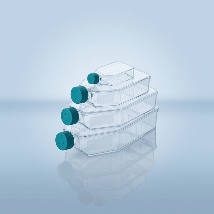 Cell Culture Flasks — family shot showing T25, T75, T150, T175 sizes stacked