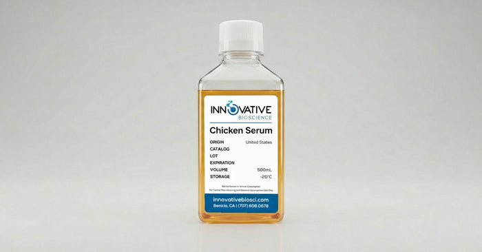 Chicken Serum 500mL by Innovative Bioscience