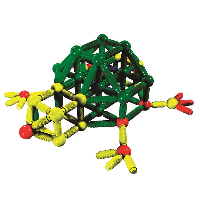 Green, yellow, and red magnetic spheres and rods built into a frog-shaped sculpture on a white background.