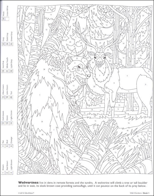 A color-by-number page with an intricate line drawing of a wolverine and deer in a forest, including a color key.
