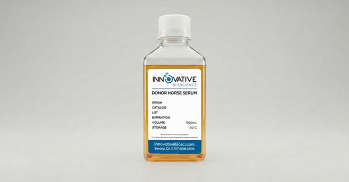 Donor Horse Serum 500mL by Innovative Bioscience