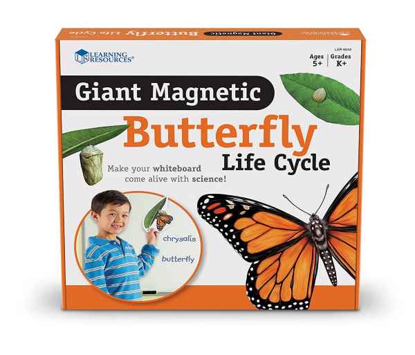 Orange and white box showing monarch butterfly life cycle magnets and a child using them on a whiteboard.