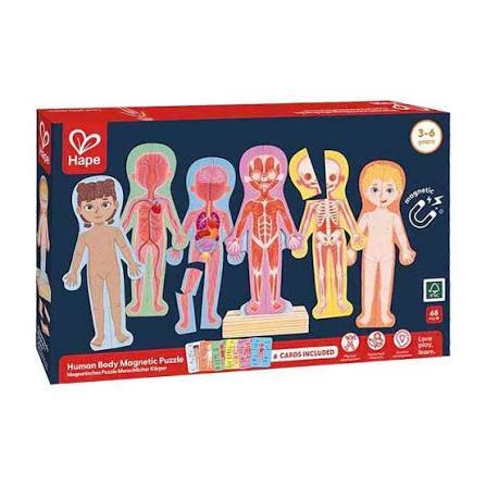 Retail box for Hape Human Body Magnetic Puzzle showing anatomical diagrams of body systems and magnetic puzzle pieces.