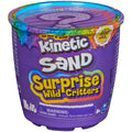 Purple tub of Kinetic Sand Surprise Wild Critters with rainbow graphics and a mystery question mark on the lid.