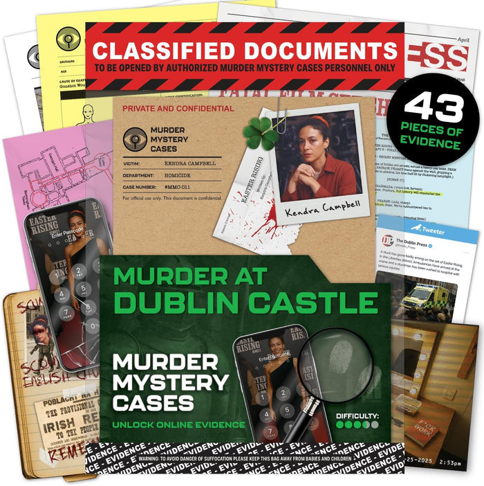 Murder at Dublin Castle mystery game box