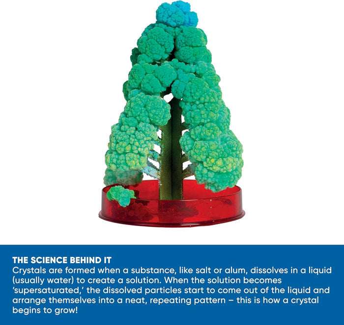 Green cardboard tree in a red base with blossoming turquoise crystals and a science explanation banner below.