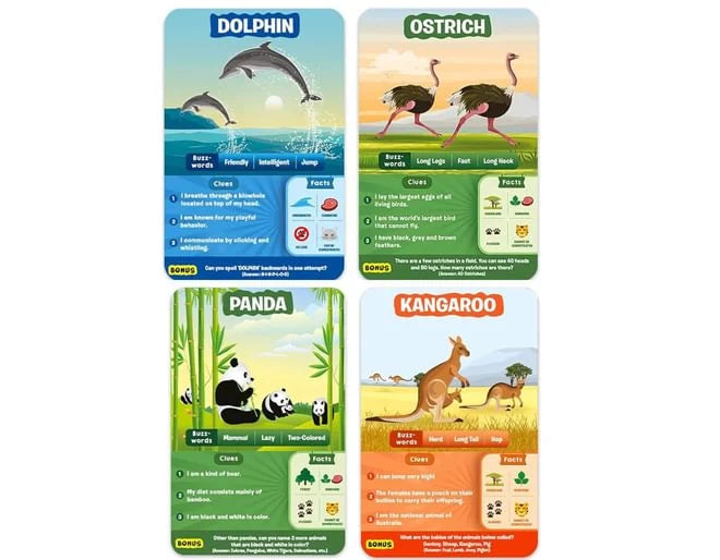 Four colorful animal cards featuring illustrations and facts for a dolphin, ostrich, panda, and kangaroo.