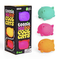 Three cat-shaped squishy toys in mint, pink, and orange next to a black box displaying more colorful toys through cutouts.