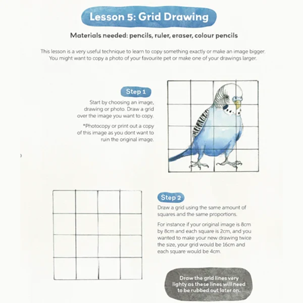 Instructional art page for grid drawing featuring a blue bird in a grid, an empty grid, and written steps.