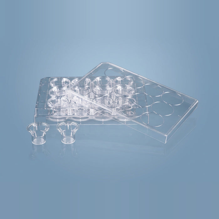 NEST Transwell Membrane Inserts in 12-Well Plate for Cell Migration Assays