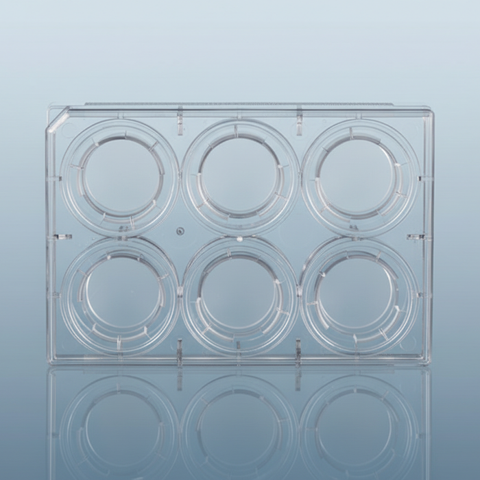 NEST Transwell Inserts — 6-well plate with PC membrane inserts showing large well format