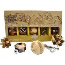 Tan box of 5 wooden and metal puzzles with interlocking wood blocks, sphere, and key brainteasers in earth tones.